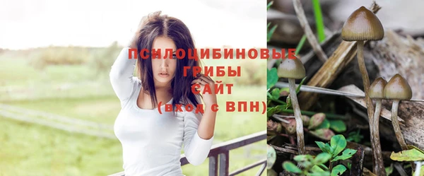мяу мяу мука Абдулино