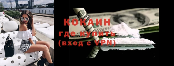 гашик Алексин