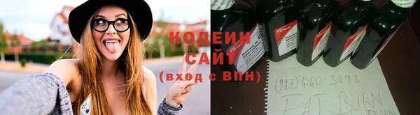 гашик Алексин