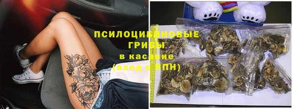 винт Карпинск