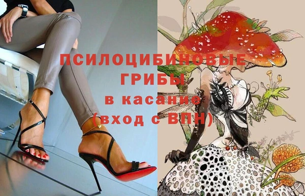 гашик Алексин