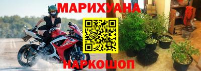 прущие грибы Конаково