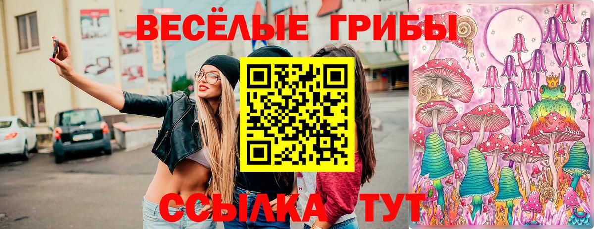Псилоцибиновые грибы мицелий Комсомольск-на-Амуре